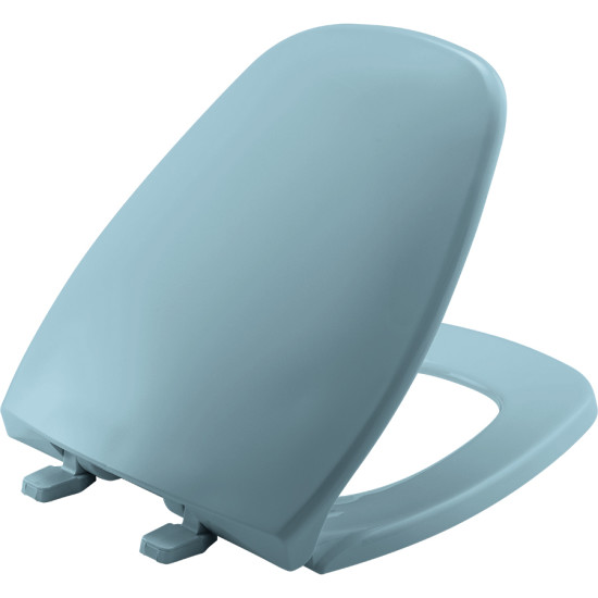blue plastic toilet seat