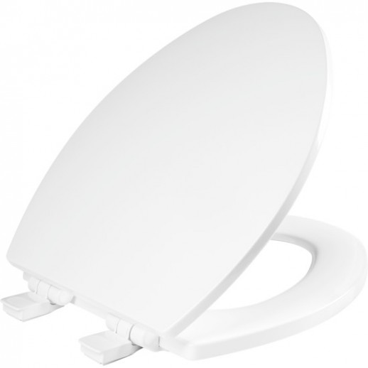 Bemis ColorMatched Toilet Seats