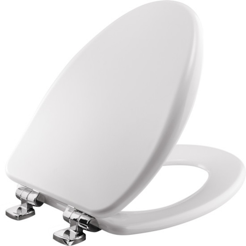 Bemis Alesio™ Toilet Seat 19170CSLA 000