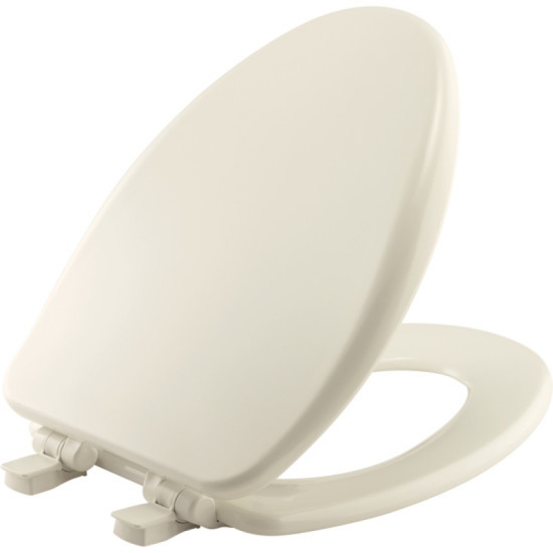 Bemis Alesio™ Toilet Seat 19170PLE4 346