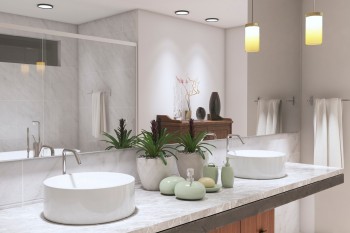 Bathroom vanity with two white sinks, potted plants and light green soap dispensers