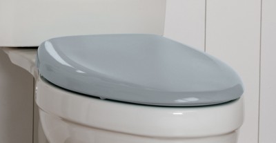 r how a toilet seat changes the dynamic of your bathroom