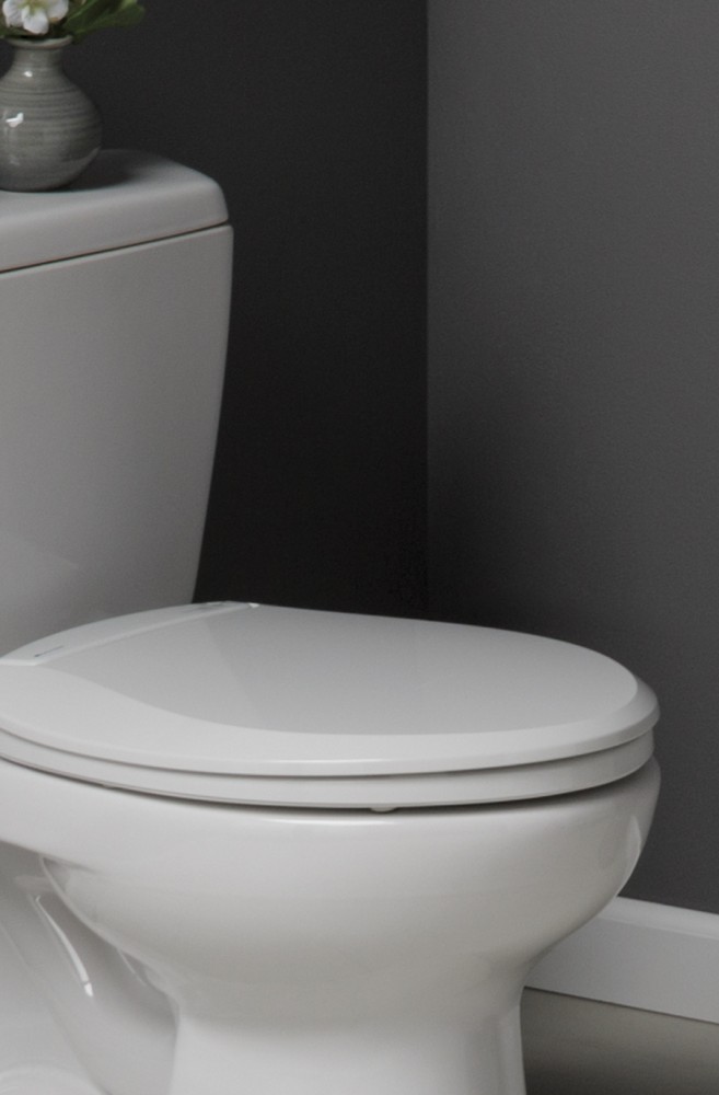 cheap black toilet seat