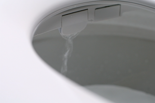 renew wash spray gif