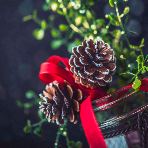 r 3 tips festive br