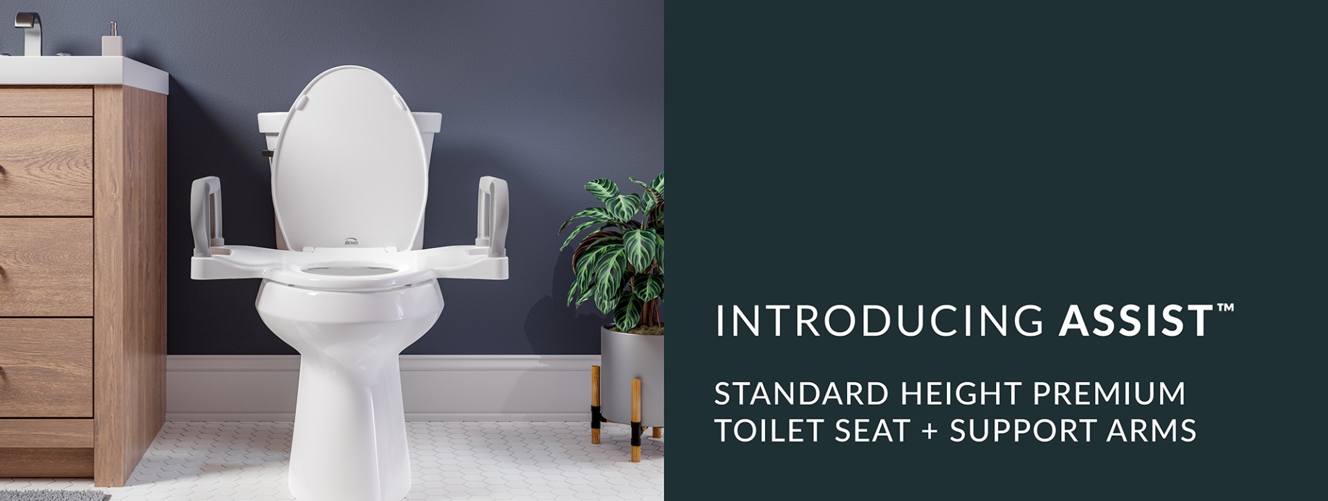 assist landing page header introducing 120623