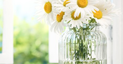 r seasonal decorating summer