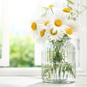 Glass jar filled with daisies in front of open window looking out onto green yard