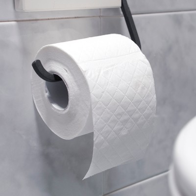 Roll of toilet paper hanging from holder next to toilet